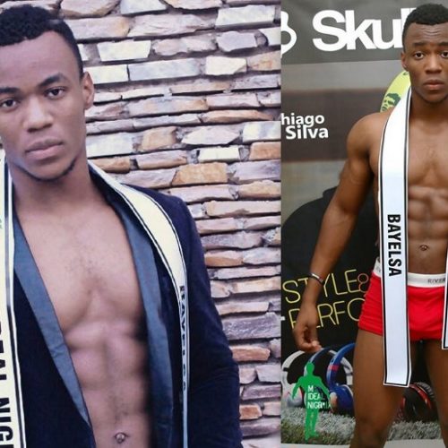 Mr Ideal Nigeria Crowns A Winner For 2015