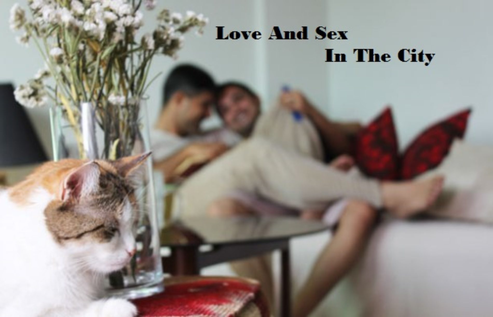 LOVE AND SEX IN THE CITY (Episode 41)
