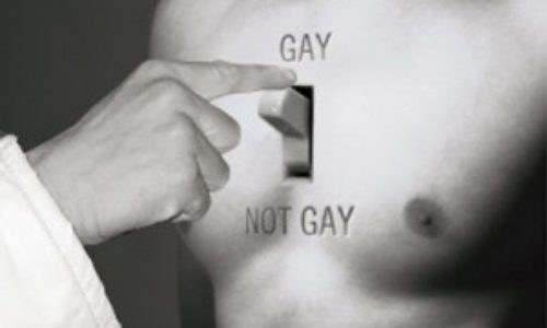 The Gay Switch