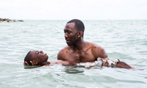 Gay Coming-Of-Age Movie ‘Moonlight’ Is One Of The Most Critically Acclaimed Films Of 2016