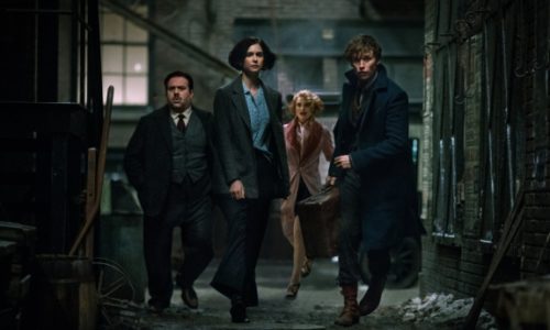 Is ‘Fantastic Beasts and Where to Find Them’ a reflection of LGBT rights?