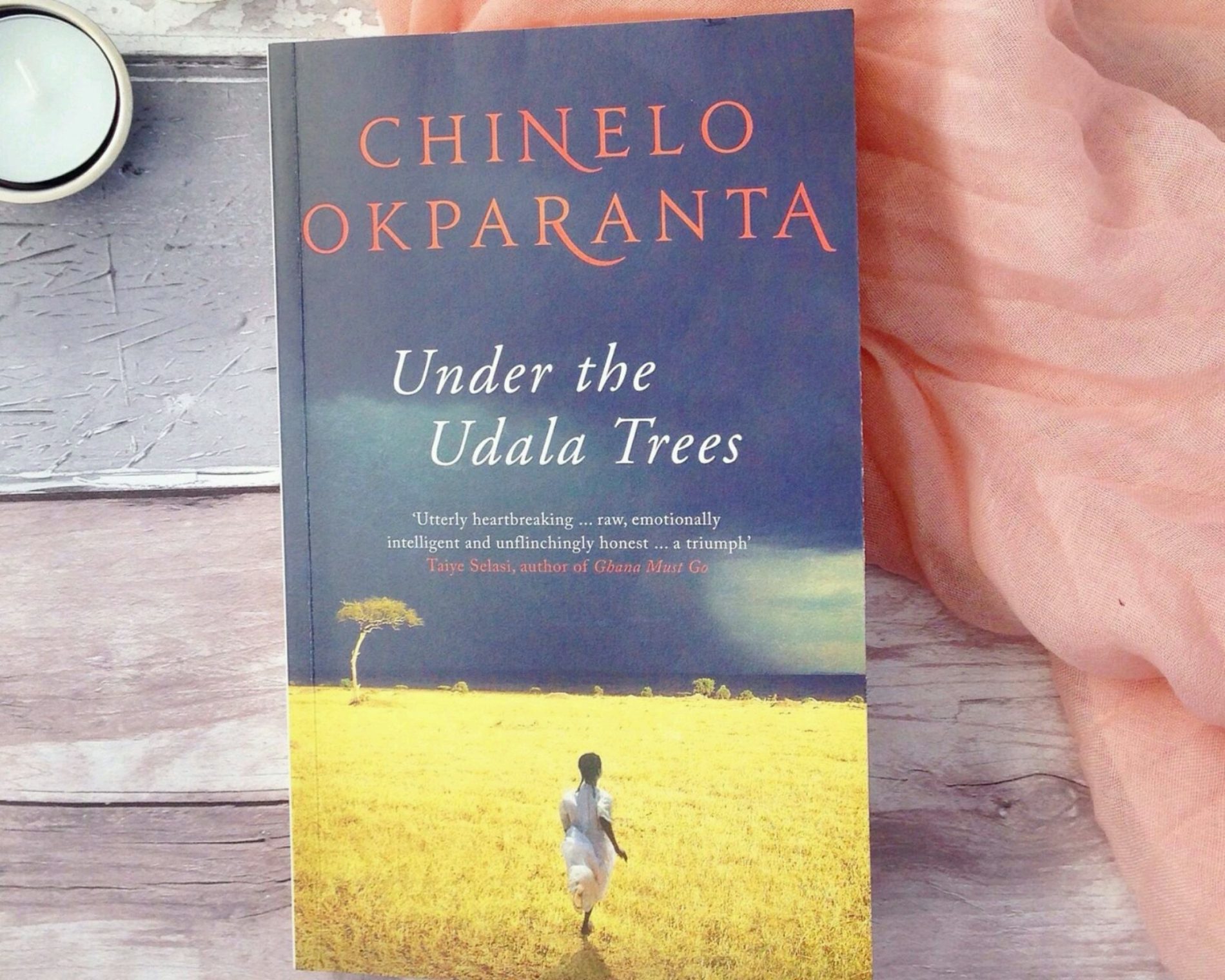A Prayer From Chinelo Okparanta’s ‘Under The Udala Trees’