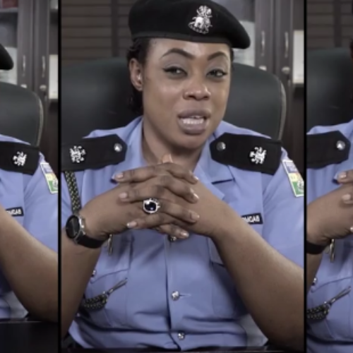 ‘No officer has the right to check your mobile phone,’ says Lagos Police PRO, Dolapo Badmus