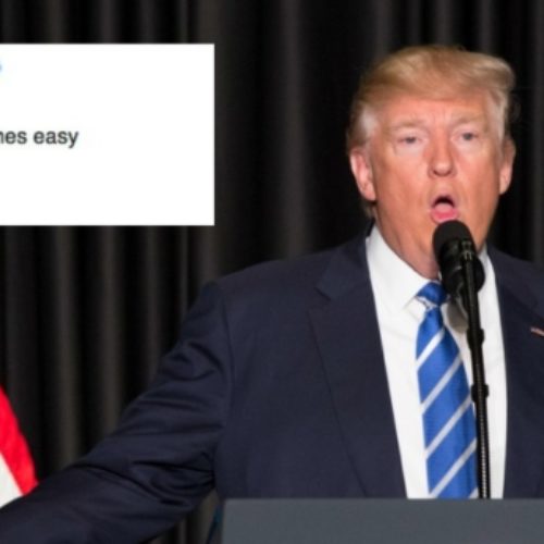 Donald Trump asked Twitter for ‘EASY D’ and the Internet had a field day