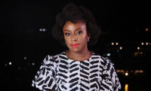 Chimamanda Ngozi Adichie Draws Heat For Her Comments About Trans Women