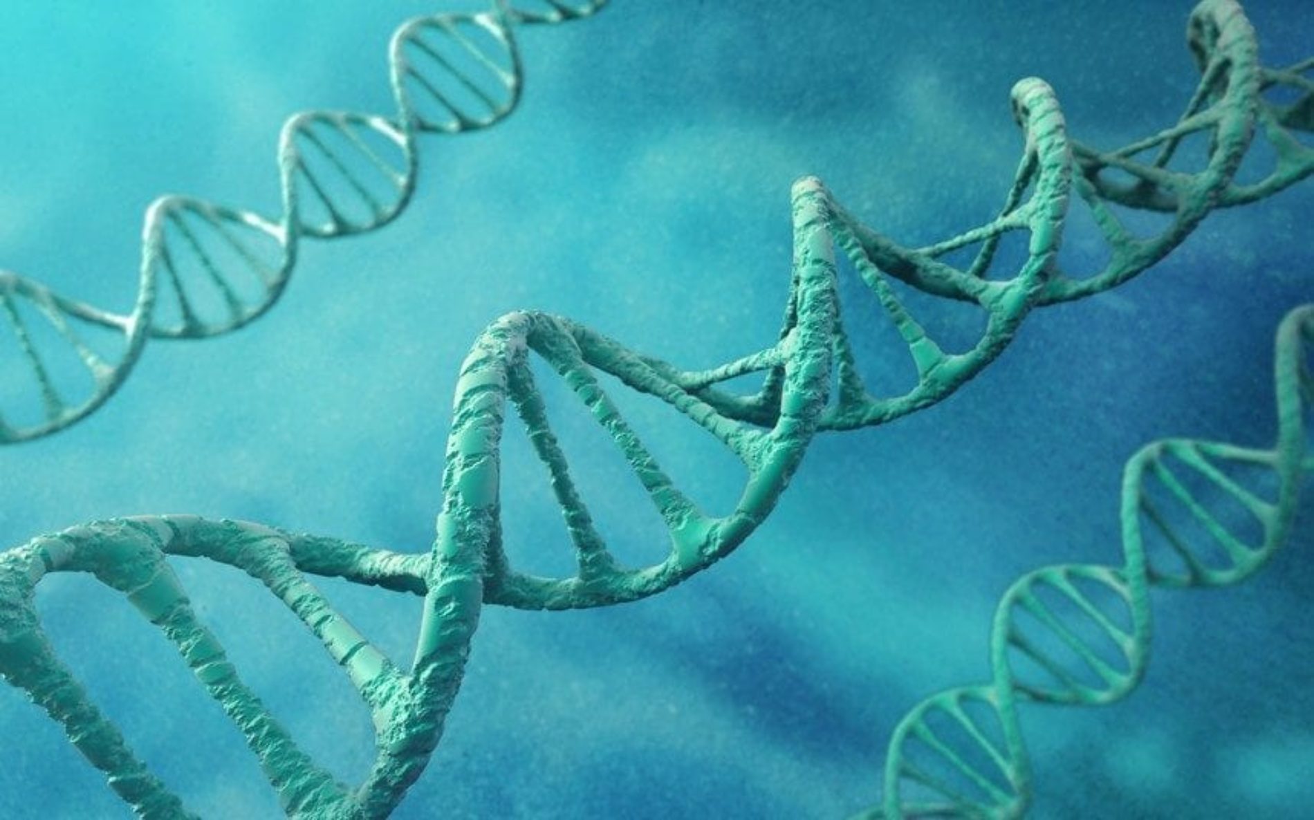 Scientists discover genes linked to homosexuality