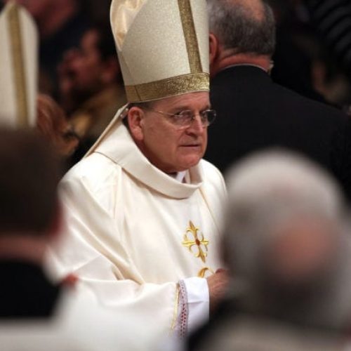 Cardinal Raymond Burke says that “homosexual culture” is to blame for the Catholic Church’s child abuse scandals