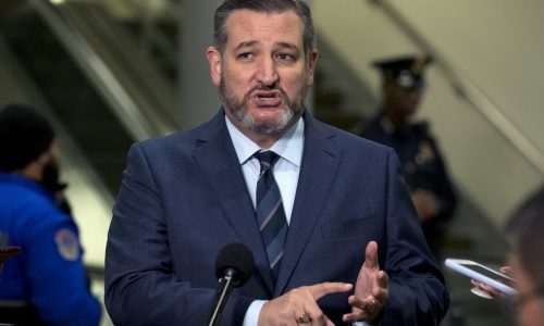 Ted Cruz criticizes vasectomy bill on Twitter, exposing his hypocrisy on reproduction rights