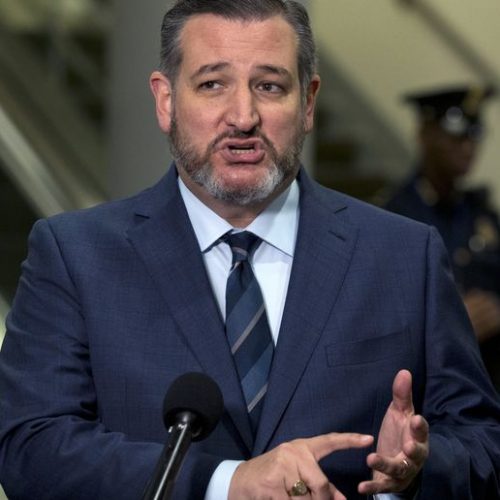 Ted Cruz criticizes vasectomy bill on Twitter, exposing his hypocrisy on reproduction rights